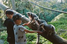Hamilton Zoo Image